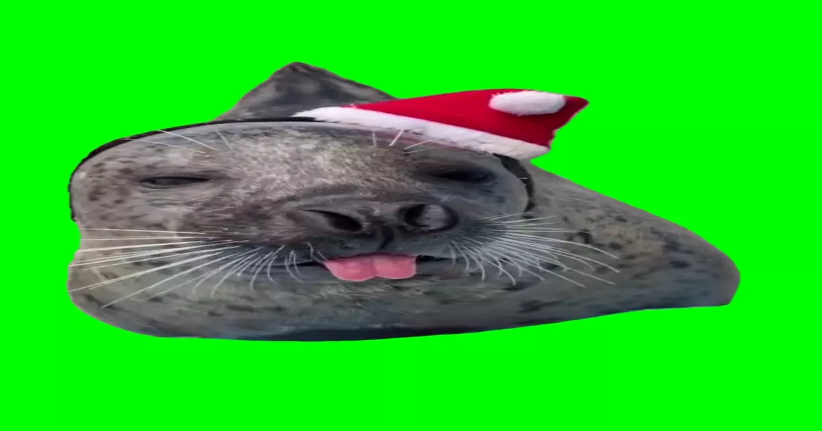 Seo Lion Shows Tongue Green Screen Meme Download Video