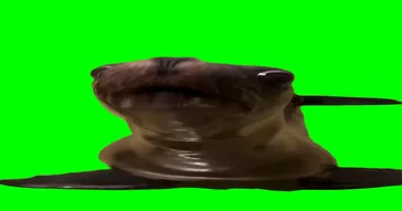 Seo Lion Shows Tongue Green Screen Meme Download | Video & Audio Meme Video