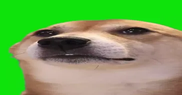 Funny Dog Dance Meme Download | Video & Audio Meme Video