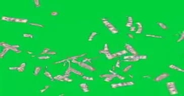 Shiny Pepe Meme Video