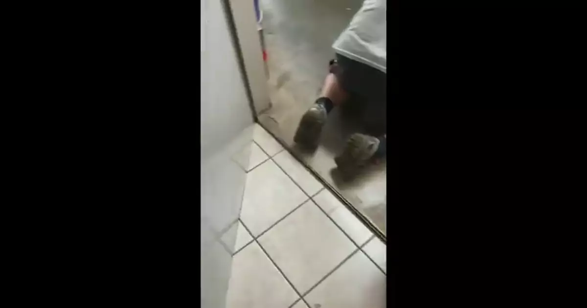Shot On Iphone Meme Download Video