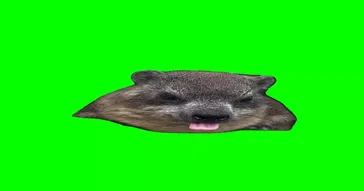 Phonk Unc Lou Lou Green Screen Meme Download | Video & Audio Meme Video