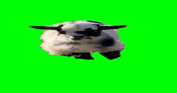 I Am So Disappointed In All Of You Green Screen Meme Download Video