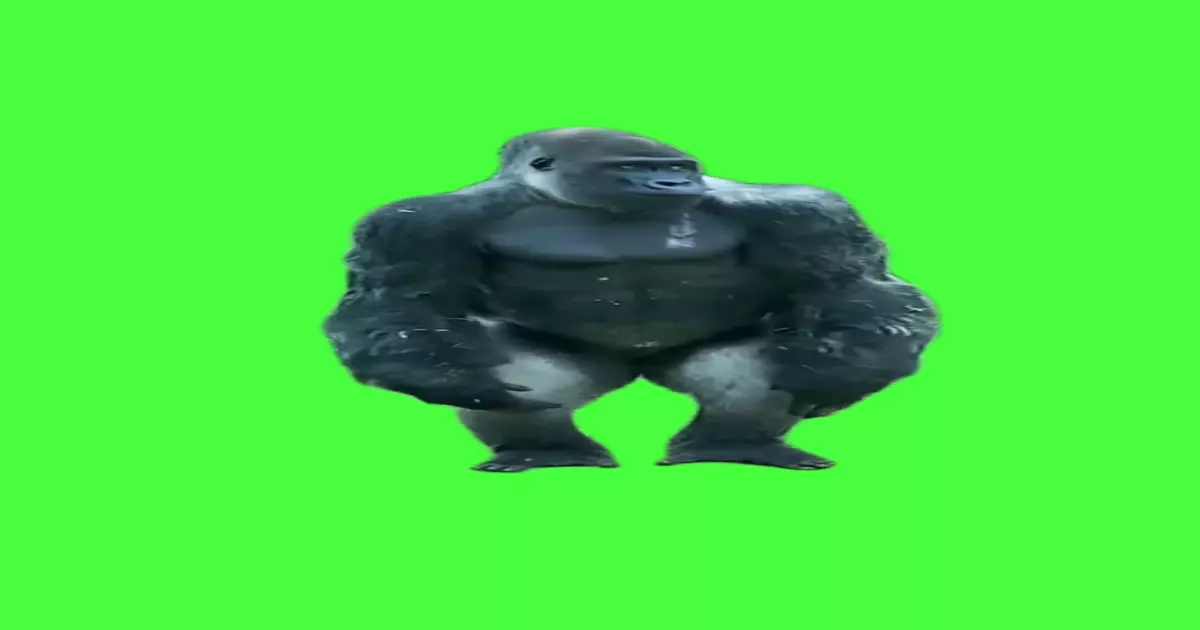 Silly Ape Meme Download Video