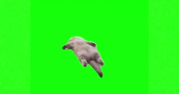 Walking Cat Meme Download | Video & Audio Meme Video