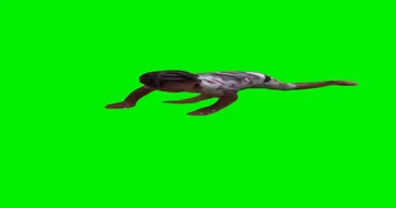 Slip N Slide Meme Download | Video & Audio Meme Video