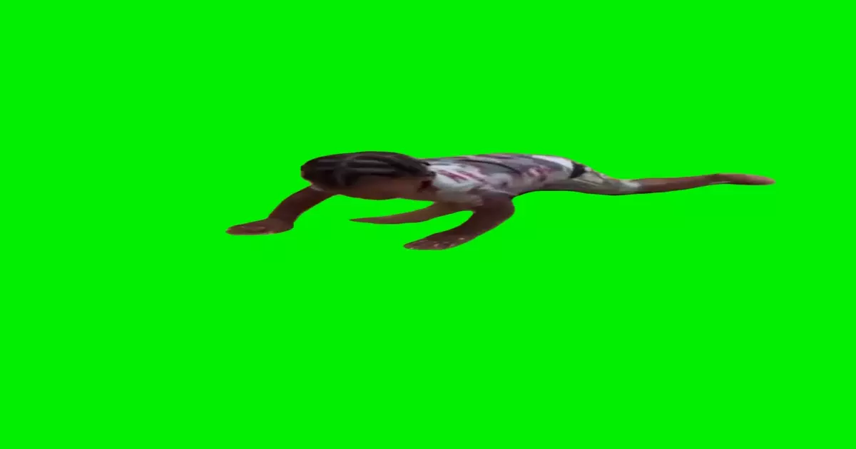 Slippery Kid Meme Download Video