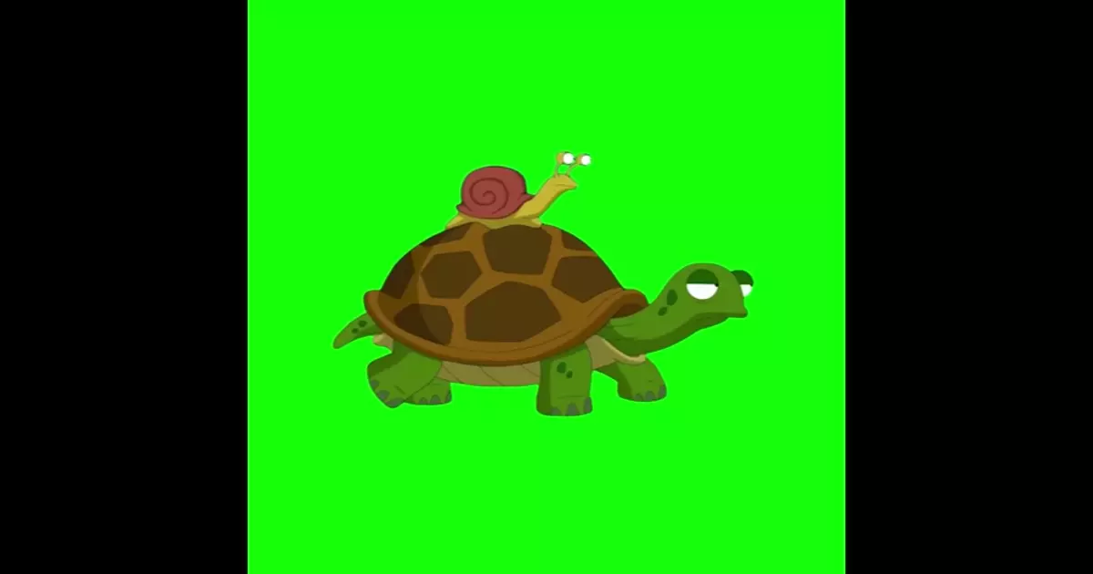 Slow Down Wanna Get There Alive Green Screen Meme Download Video