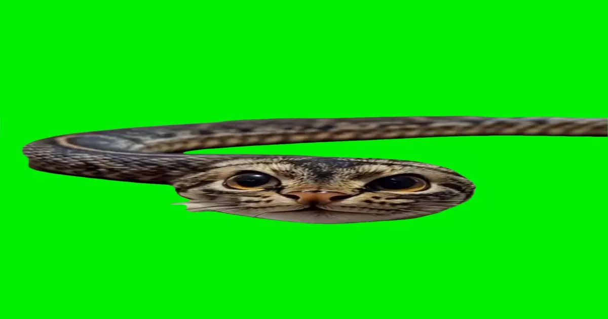 Snake Cat Ai Green Screen Meme Download Video