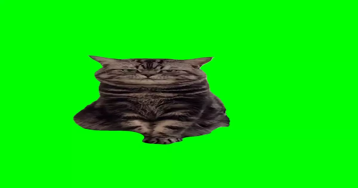 Sneaky Cat Green Screen Meme Download Video