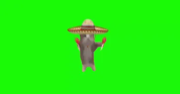 Spanish Happy Happy Happy Cat Green Screen Meme Video