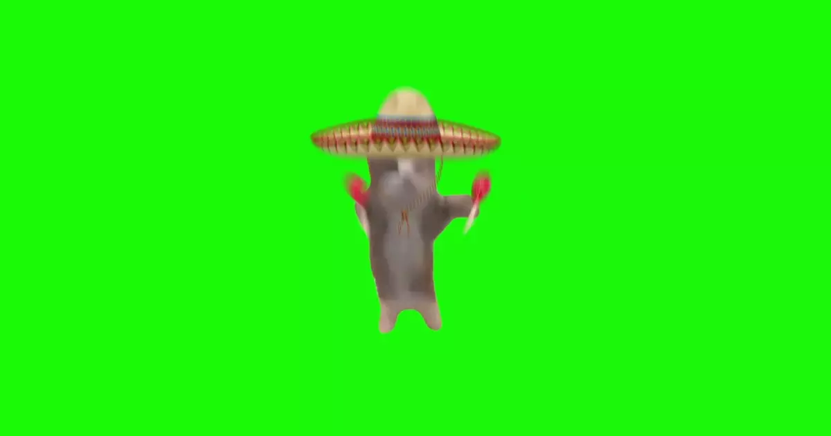 Spanish Happy Happy Happy Cat Green Screen Meme Download Video