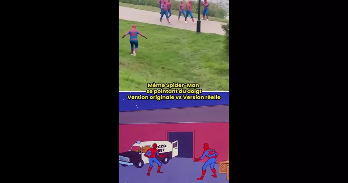 Spider Man Meme Download Video