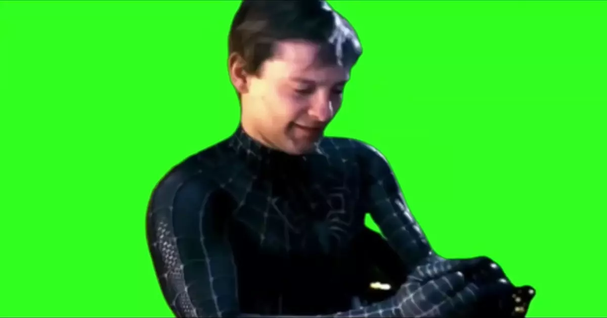 Spiderman 3 This Is Something Else Green Screen Meme Download Video
