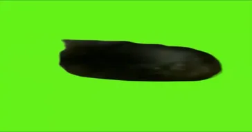Oi Oi Oi Cat Fly Away Green Screen Meme Download | Video & Audio Meme Video