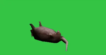Dancing Rat Green Screen Meme Download | Video & Audio Meme Video