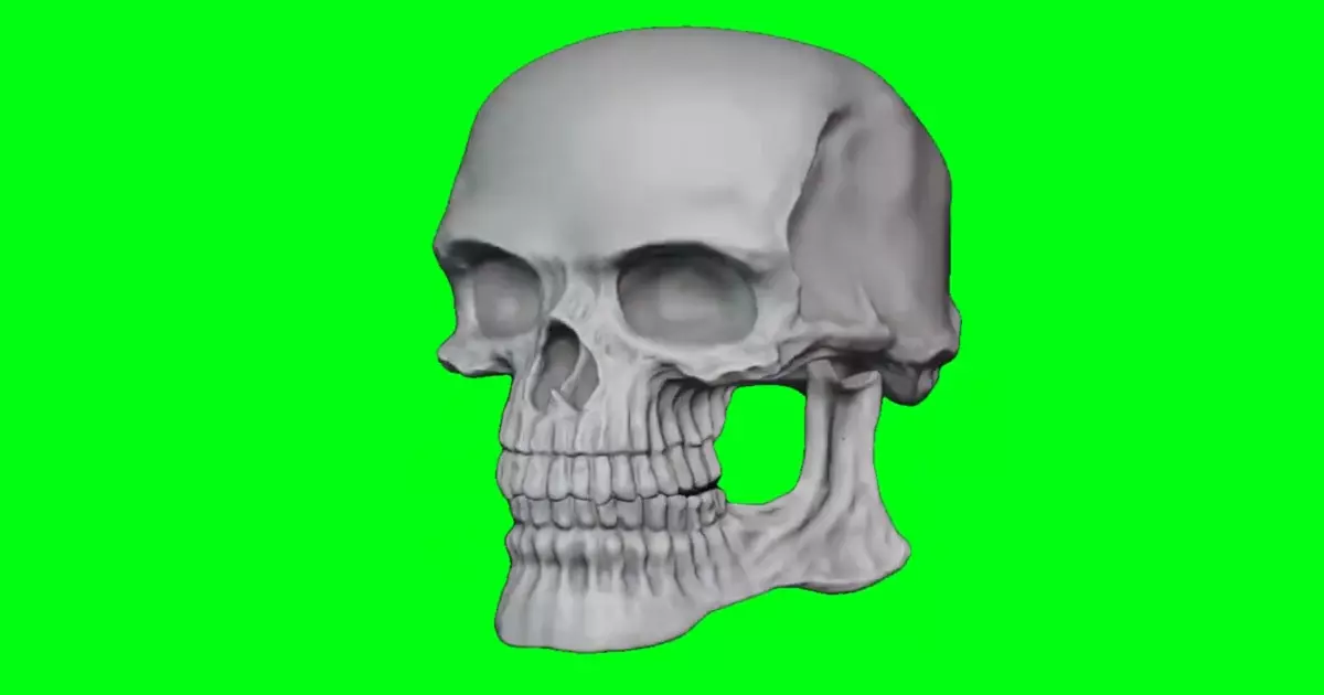 Spinning Skull With Guitar Riff At The End Green Screen Meme Download Video
