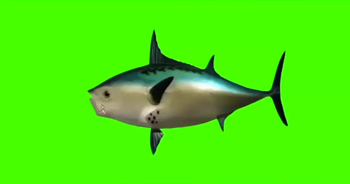 Spongebob Fish From Intro Green Screen Meme Download Video