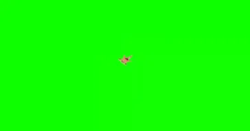 Spongebob Patrick Screaming Green Screen Meme Download Video