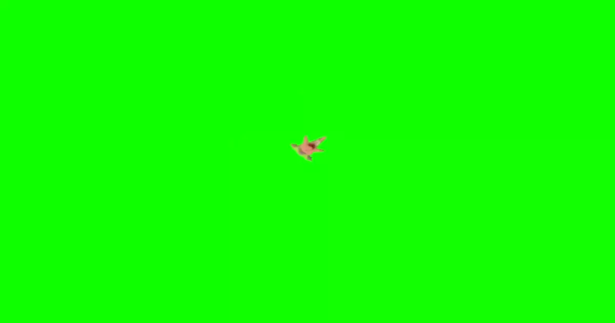 Spongebob Patrick Falling Green Screen Meme Download Video
