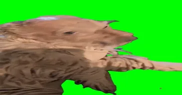 Smells Like Pee And Poo Meme Download | Video & Audio Meme Video