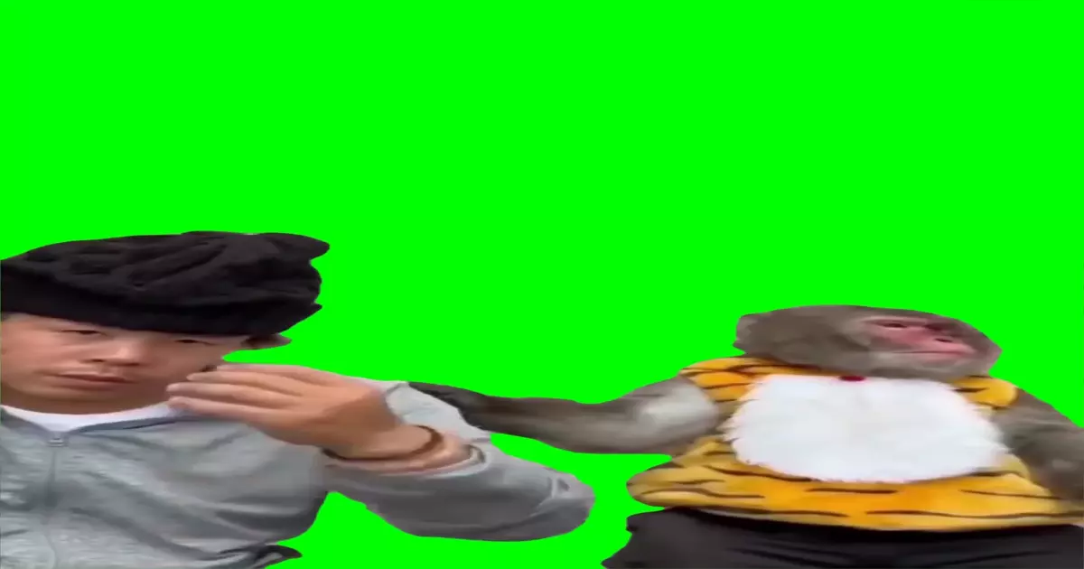 Suprised Monkey Meme Download Video
