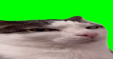 Luigi Sud Look Green Screen Meme Download | Video & Audio Meme Video