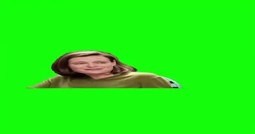 Sweeny Shuts Down A Reporter Green Screen Meme Video