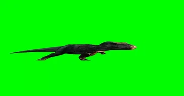T Rex Roaring Meme Video