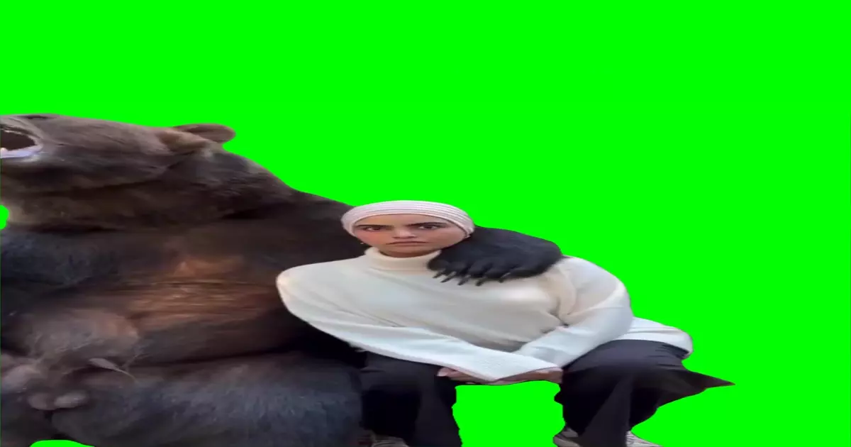 Taking Pictures With Bear Meme Download Video