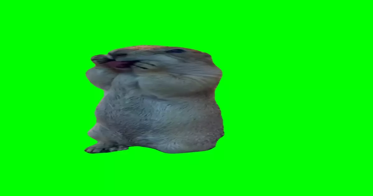 Talking Beaver Meme Download Video
