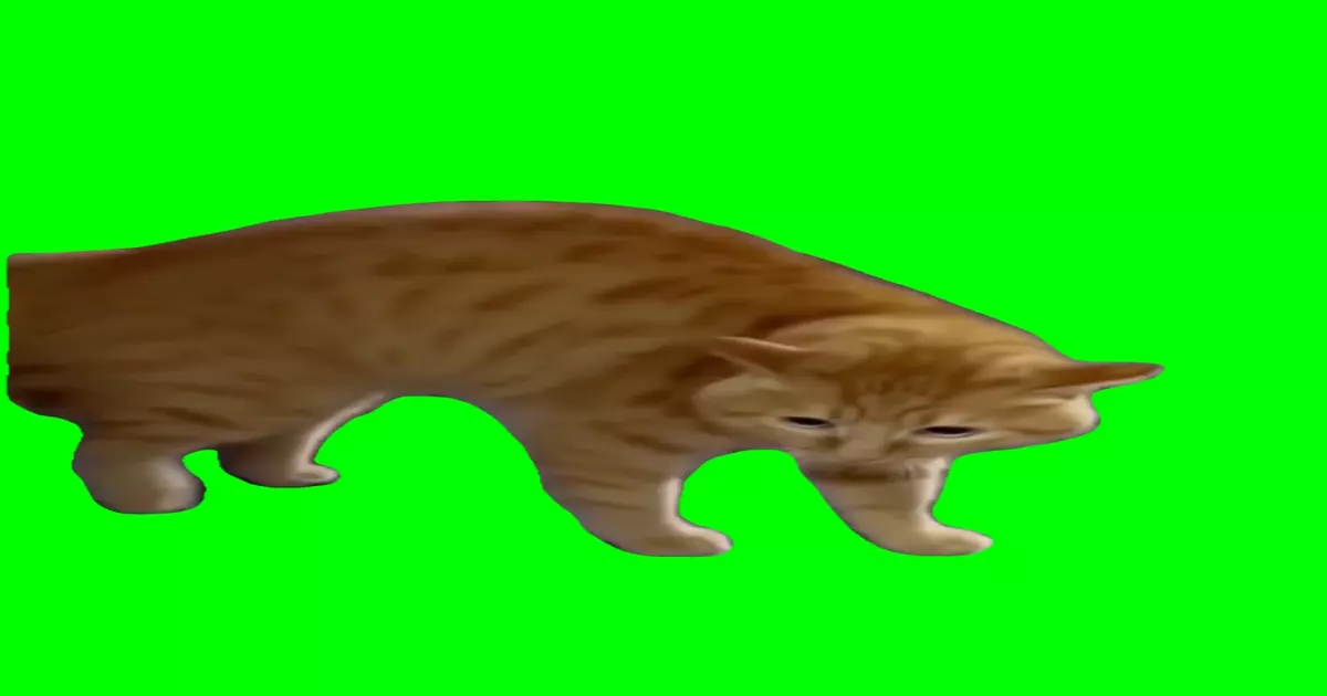 Talking Cat Meme Download Video