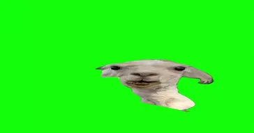 Goat Chewing Meme Download | Video & Audio Meme Video