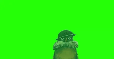 1000 Yard Stare Green Screen Meme Download | Video & Audio Meme Video
