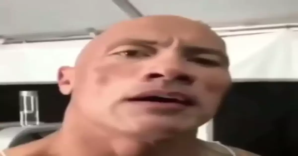 The Rock Eyebrow Meme Download Video