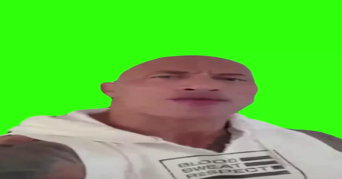 The Rock Face Off Green Screen Meme Download Video