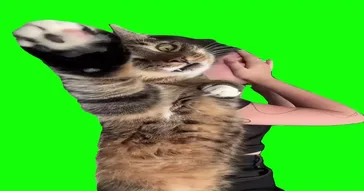 Therapy Session Green Screen Meme Video