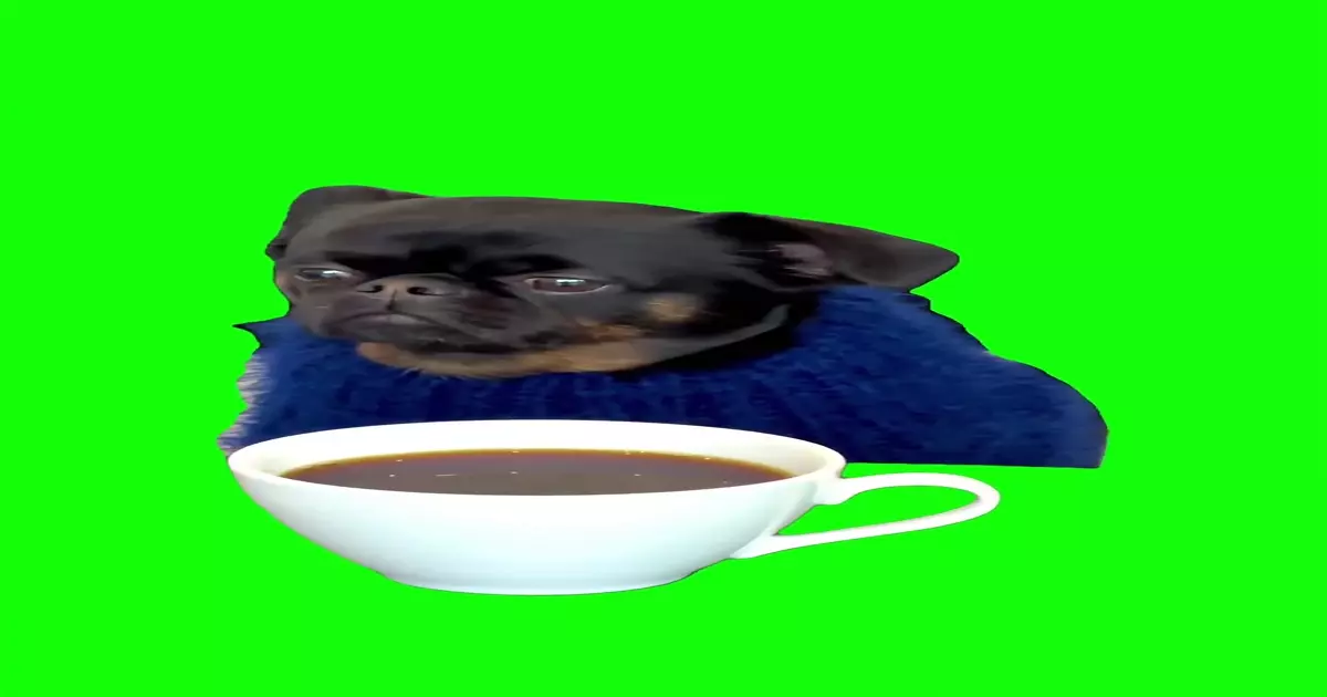 Thinking About Everything And Nothing Green Screen Meme Download Video