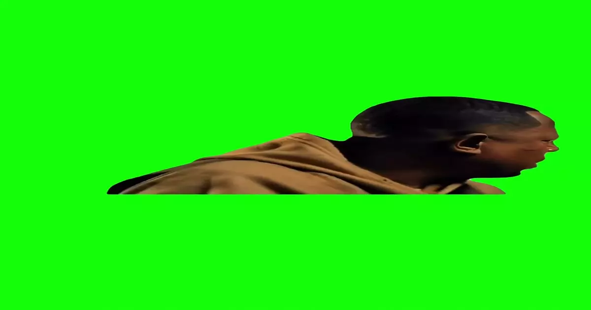 This Is Some Disfunctional Green Screen Meme Download Video