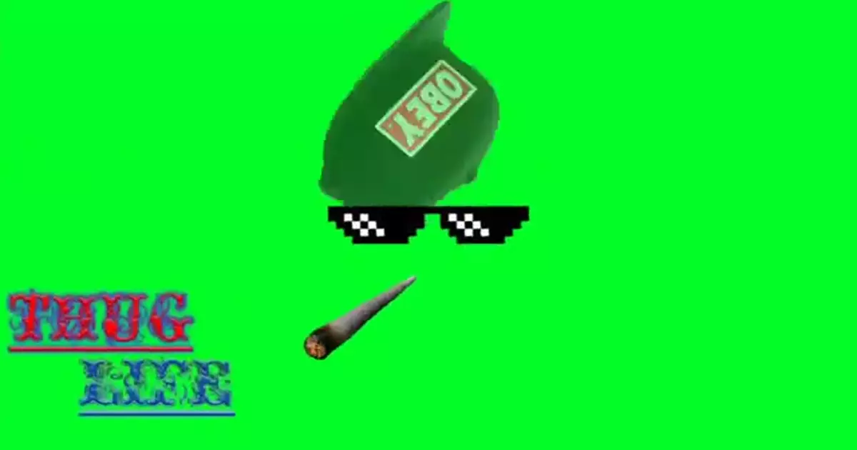 Thug Life Green Screen By Green Screen Meme Download Video