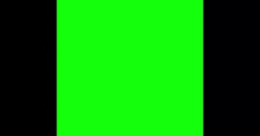 Timothe Chalamet Looking At An Explosion Green Screen Meme Video