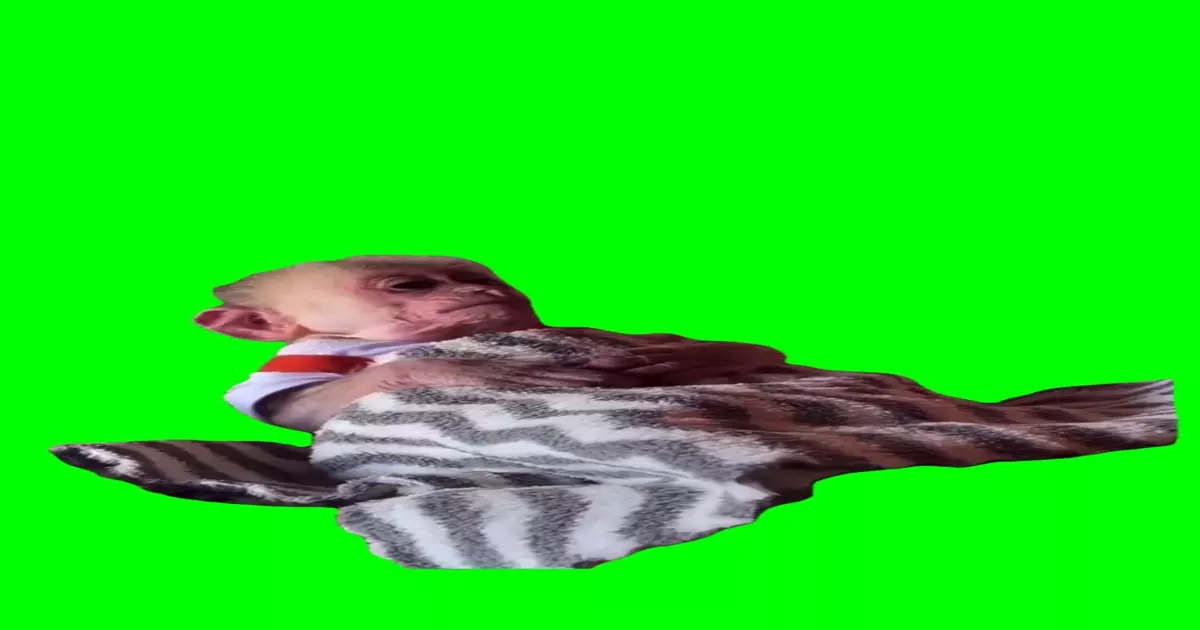 Tired Monkey Meme Download Video