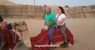 Titanic Flute Meme Video