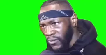 I Translated This Meme Download | Video & Audio Meme Video