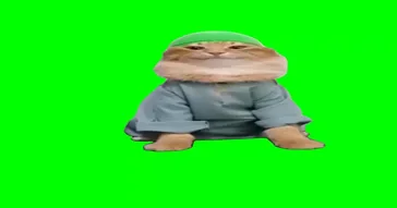 Tob Tobi Tob Tob Cat Meme Video