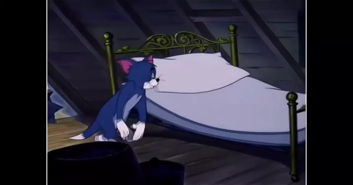 Tom Going To Sleep Trending Instagram Meme Download Video