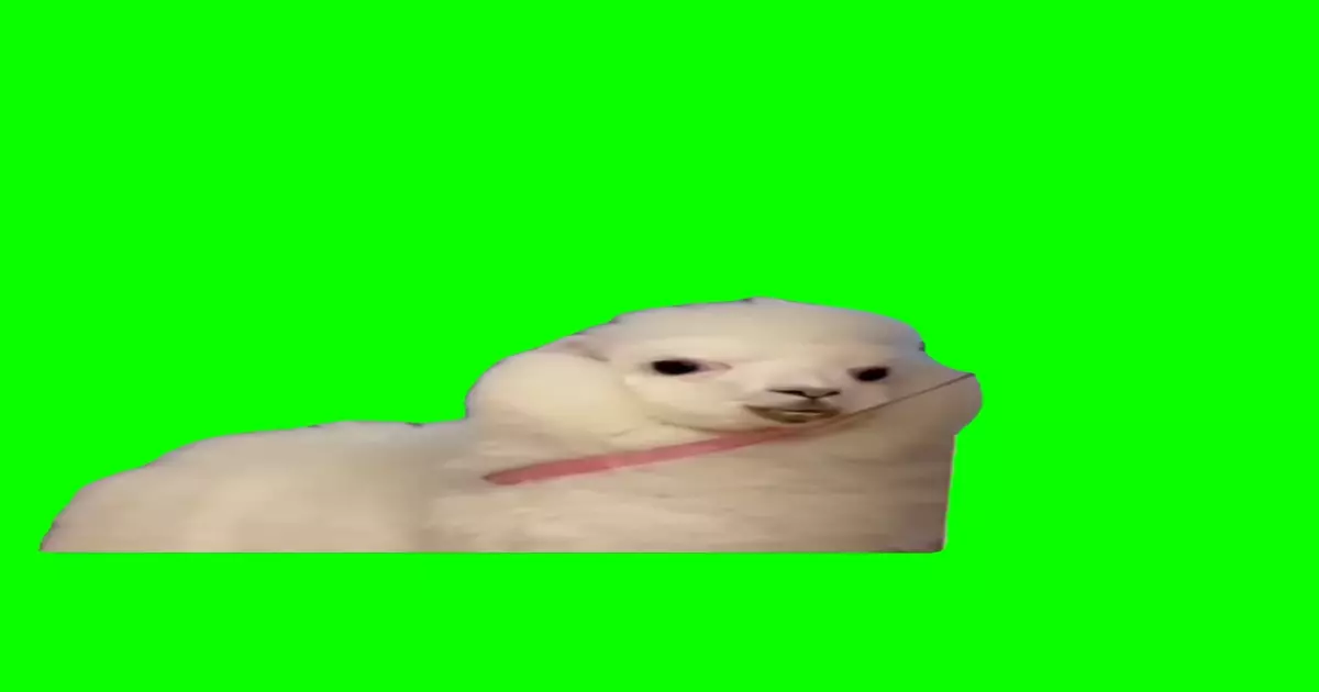 Toxic Lama Green Screen Meme Download Video