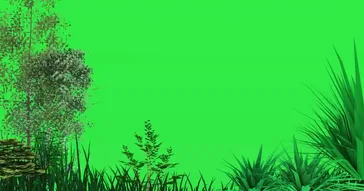 Trees Blowing In The Wind Green Screen Meme Video