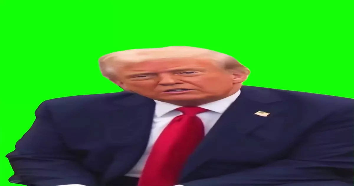 Trump What If Anything Meme Download Video
