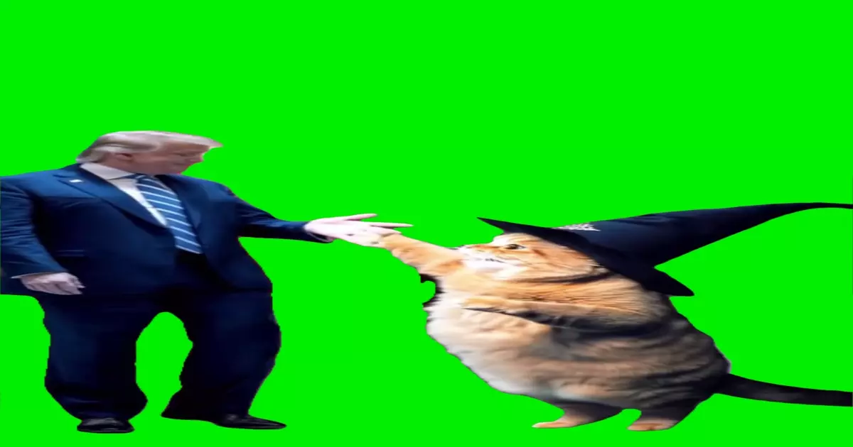 Trump With Wizard Cat Meme Download Video